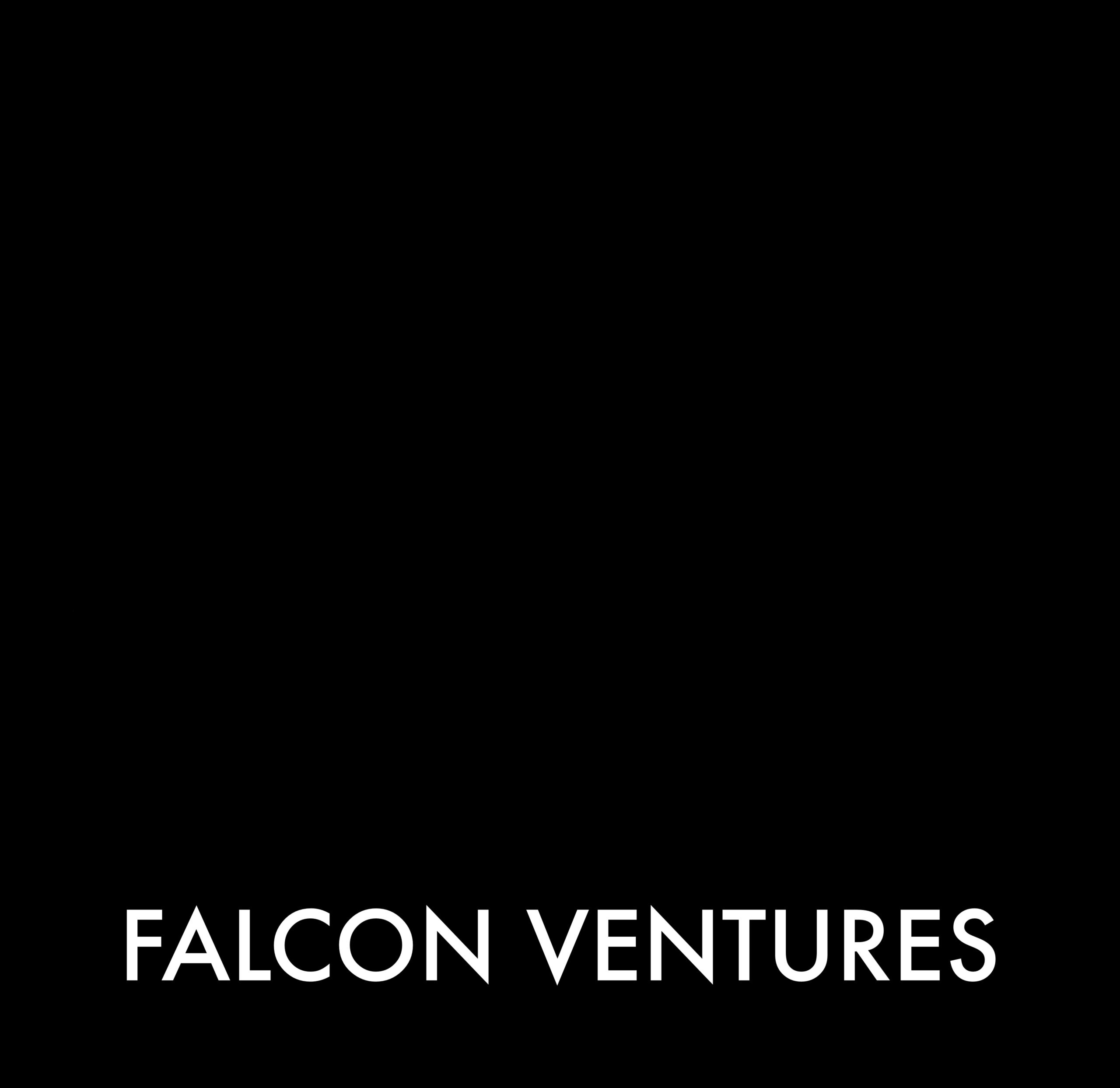 Falcon Ventures Footer Logo